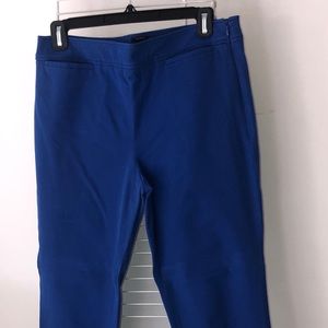 Colbalt Blue Business Casual Pant